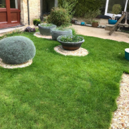 Techniques de taille pour maintenir un jardin esthétique et en bonne santé Rillieux-la-Pape